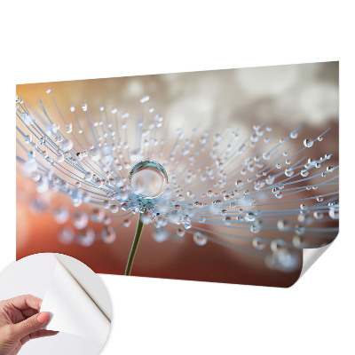 Fotomural decorativo para cabecero de cama con el diseño 'Una gota sobre un diente de león'
