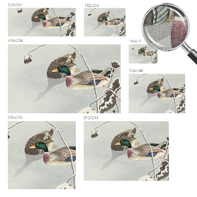 Papel mural con patrón decorativo Patos tranquilos