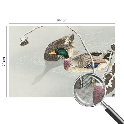 Papel mural con patrón decorativo Patos tranquilos