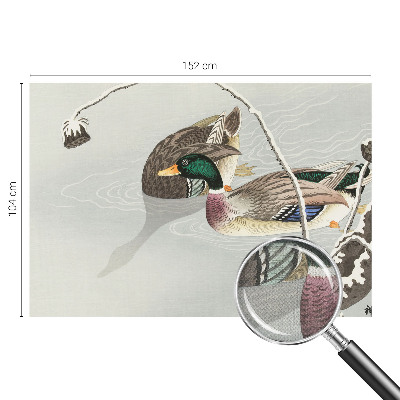 Papel mural con patrón decorativo Patos tranquilos