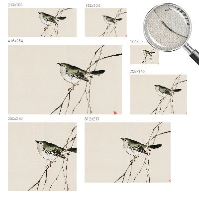 Mural de pared con estampado hermoso Ave armoniosa