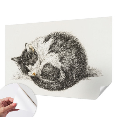 Papel mural texturado decorativo con estampado de gatito adorable