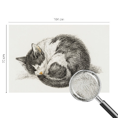 Papel mural texturado decorativo Gatito adorable