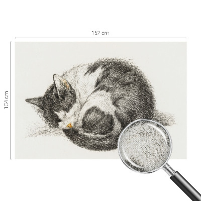 Papel mural texturado decorativo Gatito adorable