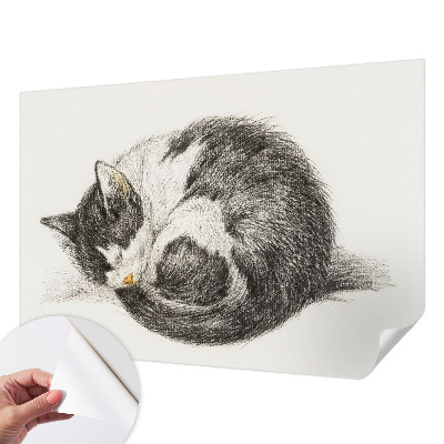 Papel mural texturado decorativo con estampado de gatito adorable