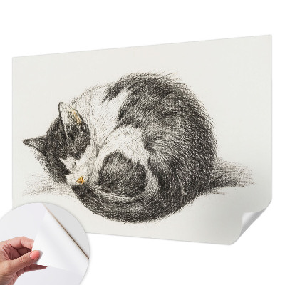 Papel mural texturado decorativo con estampado de gatito adorable