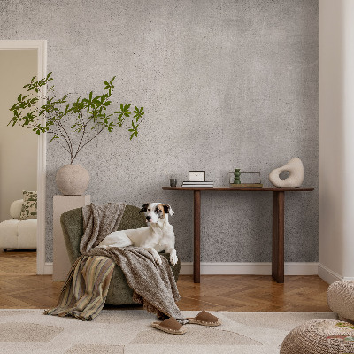 Mural de pared con estampado hermoso Patrón de hormigón