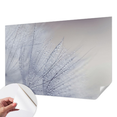 Papel mural con patrón decorativo con motivo de dientes de león cubiertos de rocío