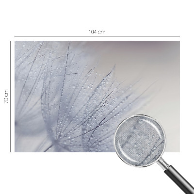 Papel mural con patrón decorativo diente de león cubierto de rocío