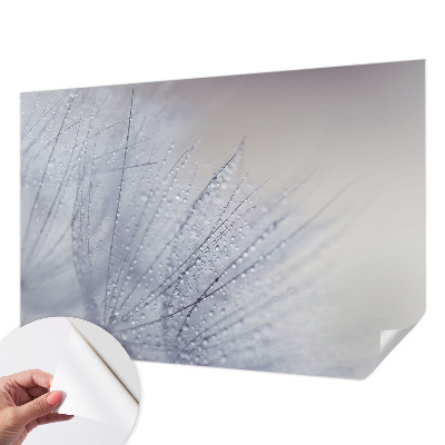 Papel mural con patrón decorativo con motivo de dientes de león cubiertos de rocío