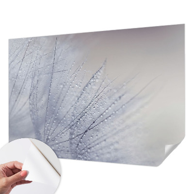Papel mural con patrón decorativo con motivo de dientes de león cubiertos de rocío