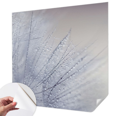 Papel mural con patrón decorativo con motivo de dientes de león cubiertos de rocío