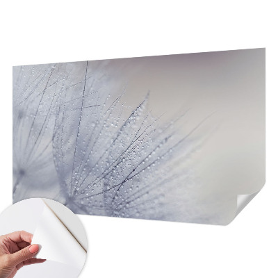 Papel mural con patrón decorativo con motivo de dientes de león cubiertos de rocío