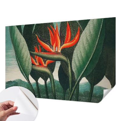 Fotomural decorativo para cabecero de cama con diseño de flores exóticas