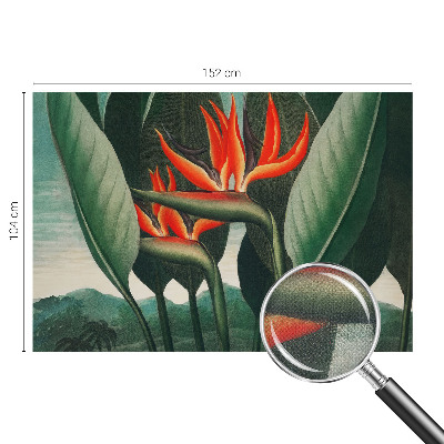 Fotomural decorativo para cabecero de cama con diseño de flores exóticas