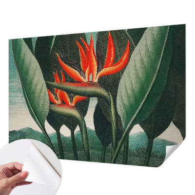 Fotomural decorativo para cabecero de cama con diseño de flores exóticas