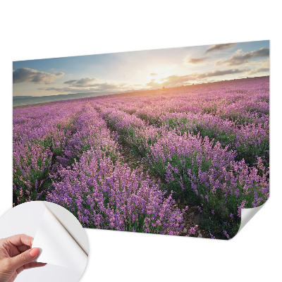 Mural de pared con estampado hermoso con motivo de campos de lavanda