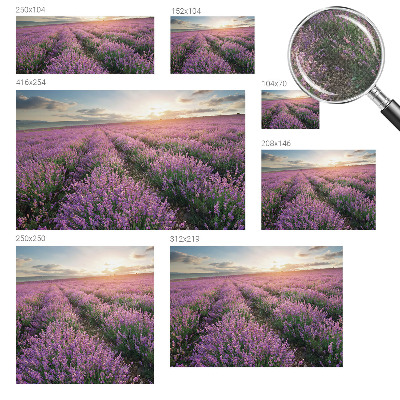 Mural de pared con estampado hermoso con motivo de campos de lavanda