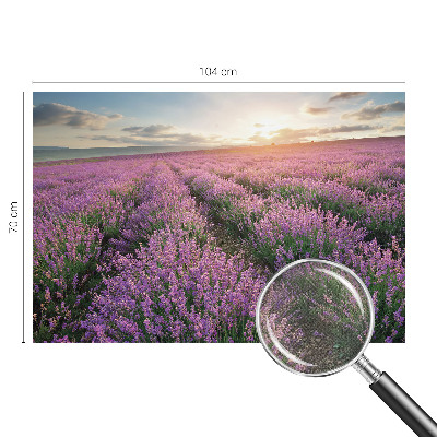 Mural de pared con estampado hermoso con motivo de campos de lavanda