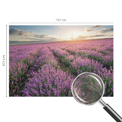 Mural de pared con estampado hermoso con motivo de campos de lavanda