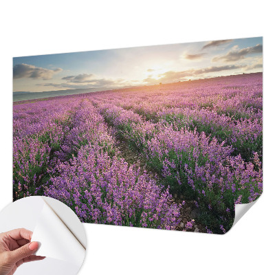 Mural de pared con estampado hermoso con motivo de campos de lavanda