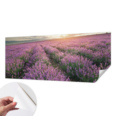 Mural de pared con estampado hermoso con motivo de campos de lavanda