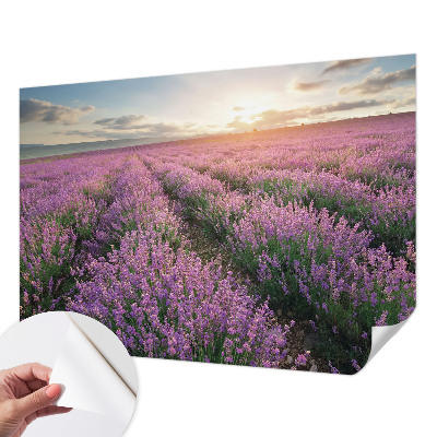 Mural de pared con estampado hermoso con motivo de campos de lavanda