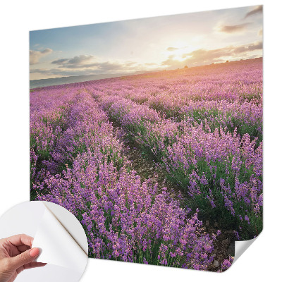 Mural de pared con estampado hermoso con motivo de campos de lavanda