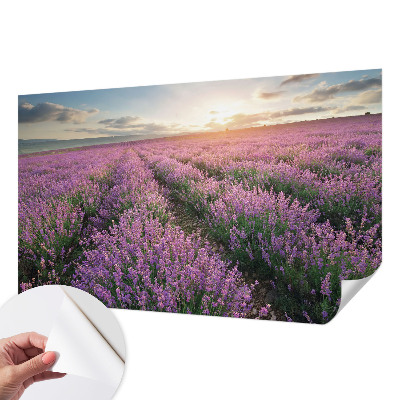 Mural de pared con estampado hermoso con motivo de campos de lavanda