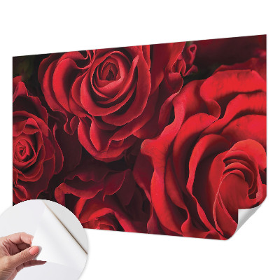 Papel mural texturado decorativo con estampado de rosas rojas