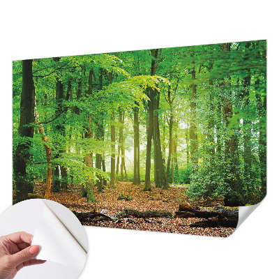 Fotomural decorativo para cabecero de cama con diseño de bosque verde
