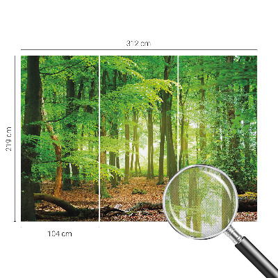 Fotomural decorativo para cabecero de cama con diseño de bosque verde