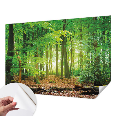 Fotomural decorativo para cabecero de cama con diseño de bosque verde
