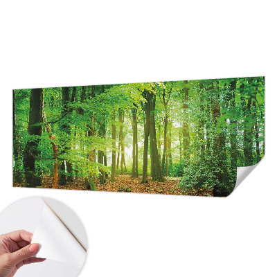 Fotomural decorativo para cabecero de cama con diseño de bosque verde