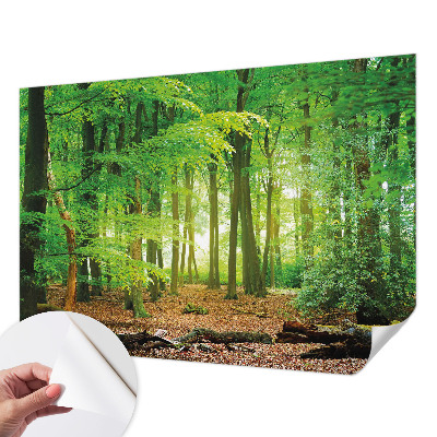 Fotomural decorativo para cabecero de cama con diseño de bosque verde