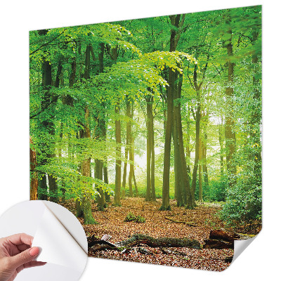 Fotomural decorativo para cabecero de cama con diseño de bosque verde