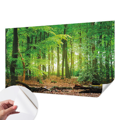 Fotomural decorativo para cabecero de cama con diseño de bosque verde