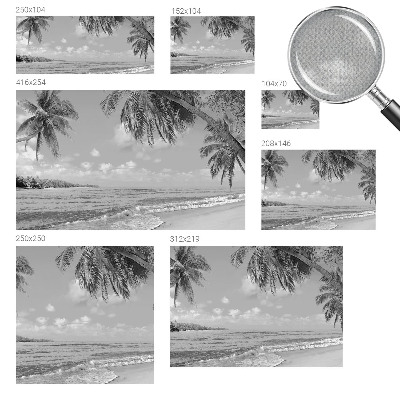 Papel mural con patrón decorativo con diseño de paraíso tropical