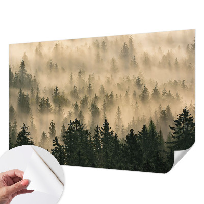 Mural de pared con estampado hermoso con motivo de niebla en un bosque