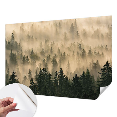 Mural de pared con estampado hermoso con motivo de niebla en un bosque