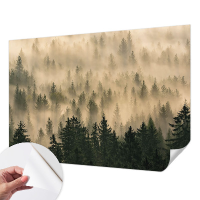 Mural de pared con estampado hermoso con motivo de niebla en un bosque