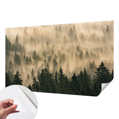 Mural de pared con estampado hermoso con motivo de niebla en un bosque