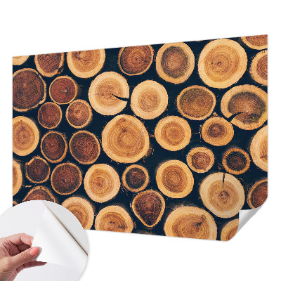 Papel mural con patrón decorativo círculos de madera