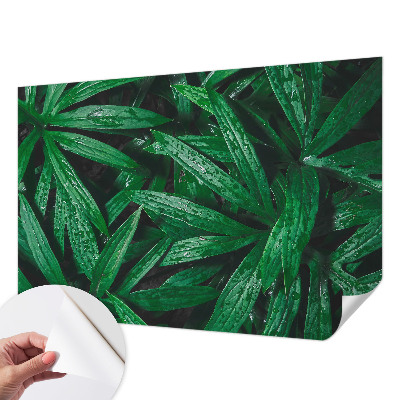 Mural de pared con estampado hermoso con motivo de vegetación natural