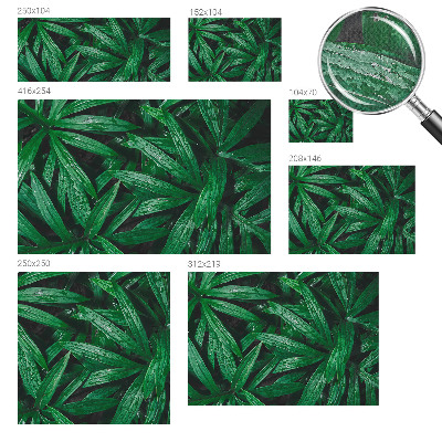 Mural de pared con estampado hermoso Vegetación natural