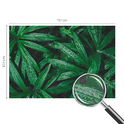 Mural de pared con estampado hermoso Vegetación natural