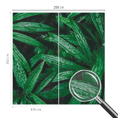 Mural de pared con estampado hermoso Vegetación natural