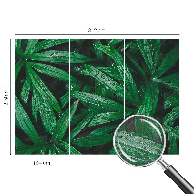 Mural de pared con estampado hermoso Vegetación natural