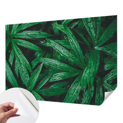 Mural de pared con estampado hermoso Vegetación natural