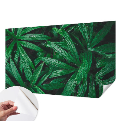 Mural de pared con estampado hermoso con motivo de vegetación natural